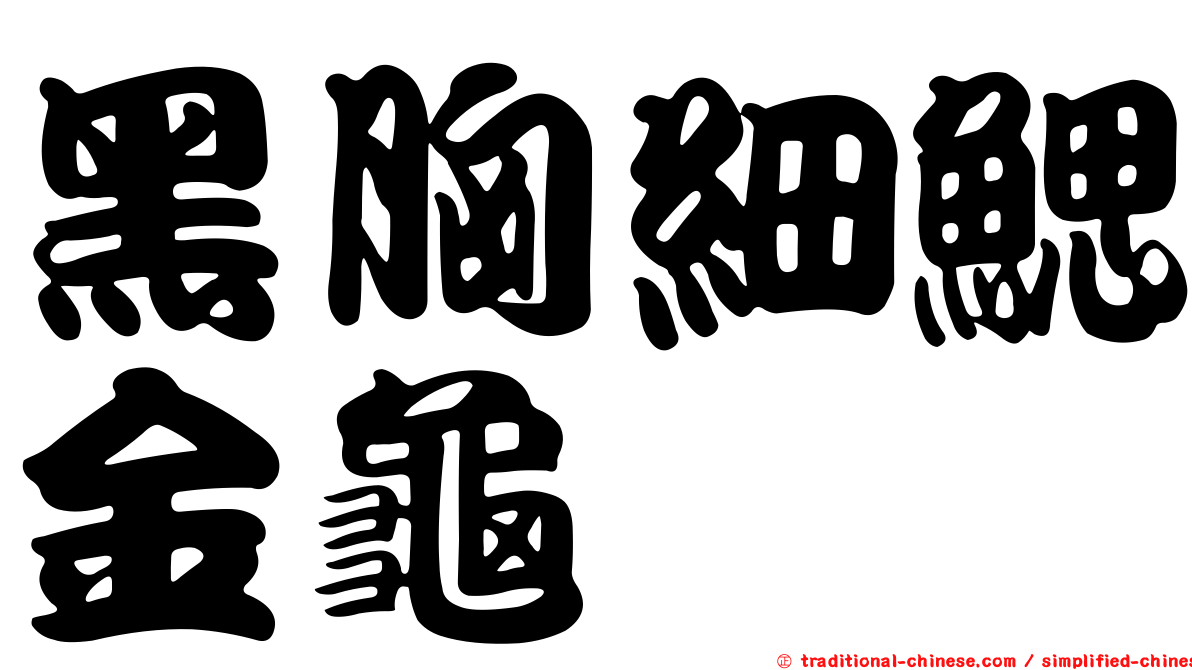 黑胸細鰓金龜