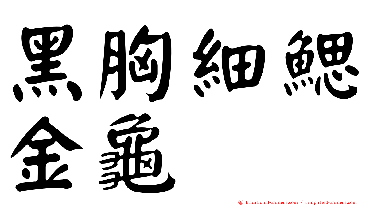 黑胸細鰓金龜