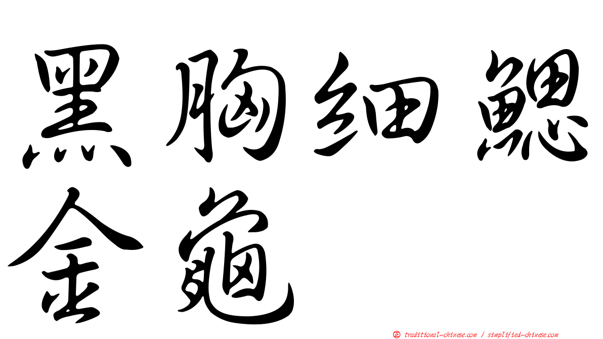 黑胸細鰓金龜