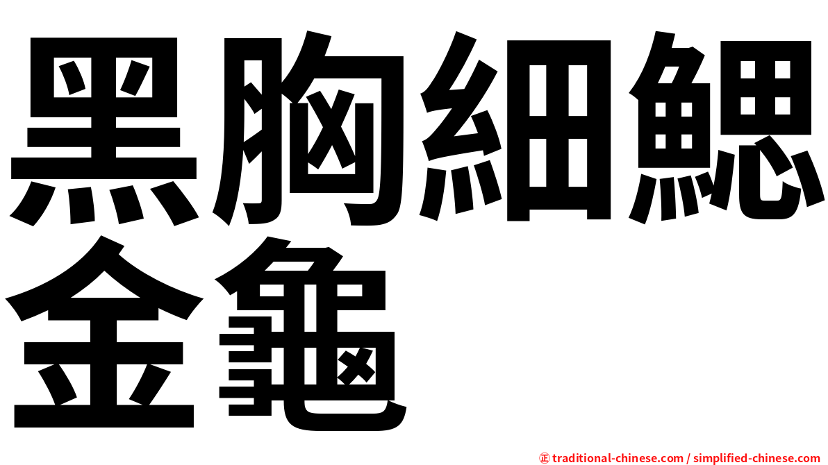 黑胸細鰓金龜