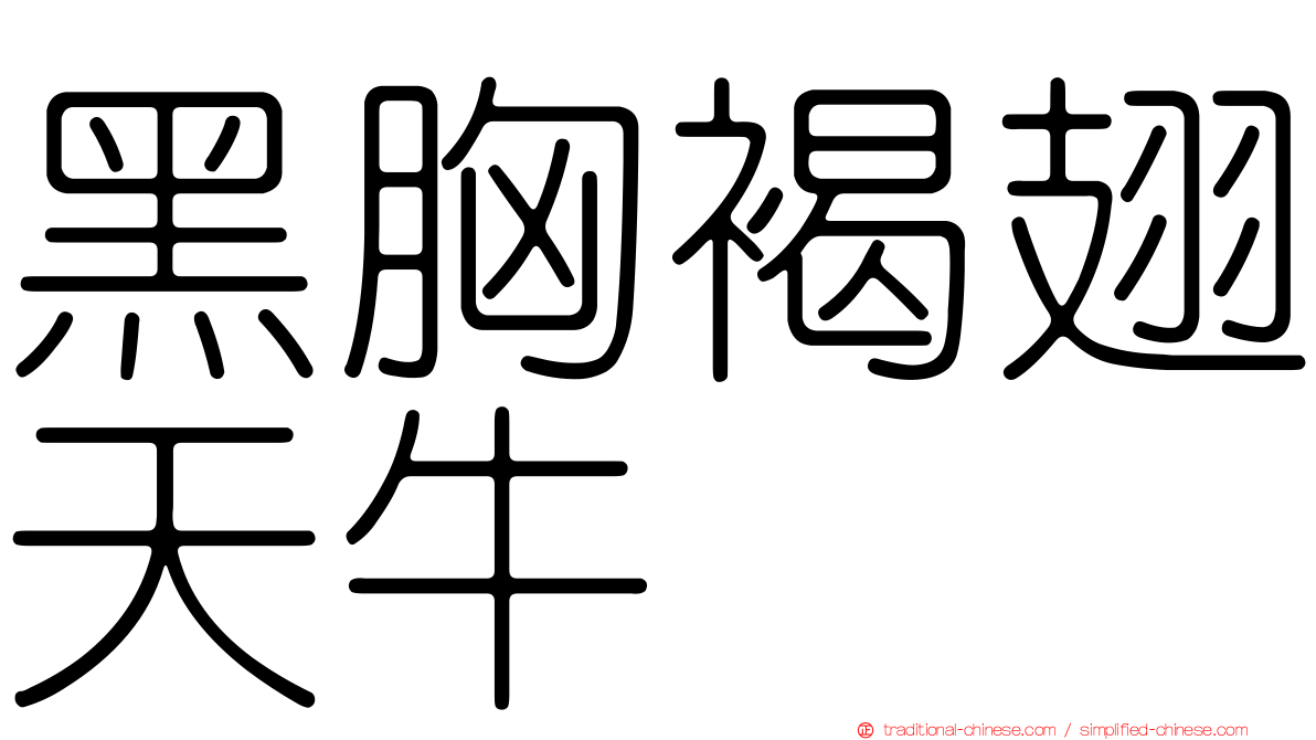 黑胸褐翅天牛