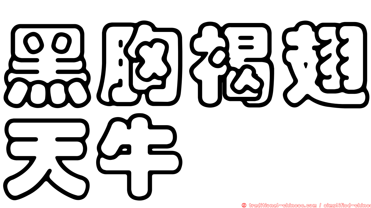黑胸褐翅天牛