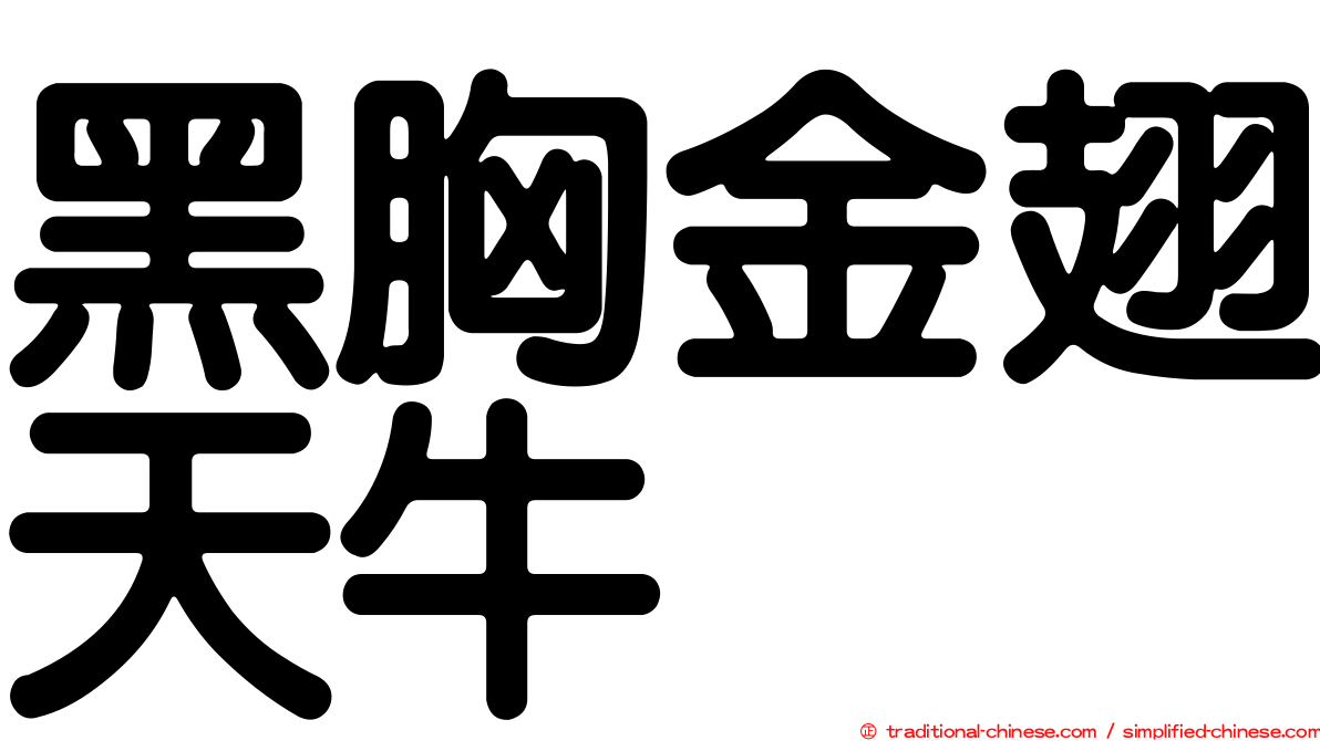 黑胸金翅天牛