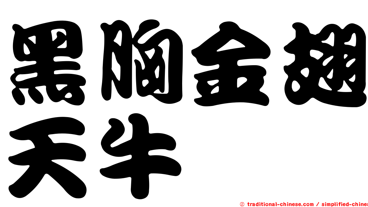 黑胸金翅天牛