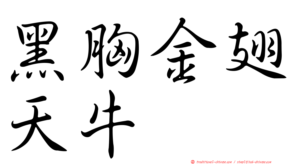 黑胸金翅天牛