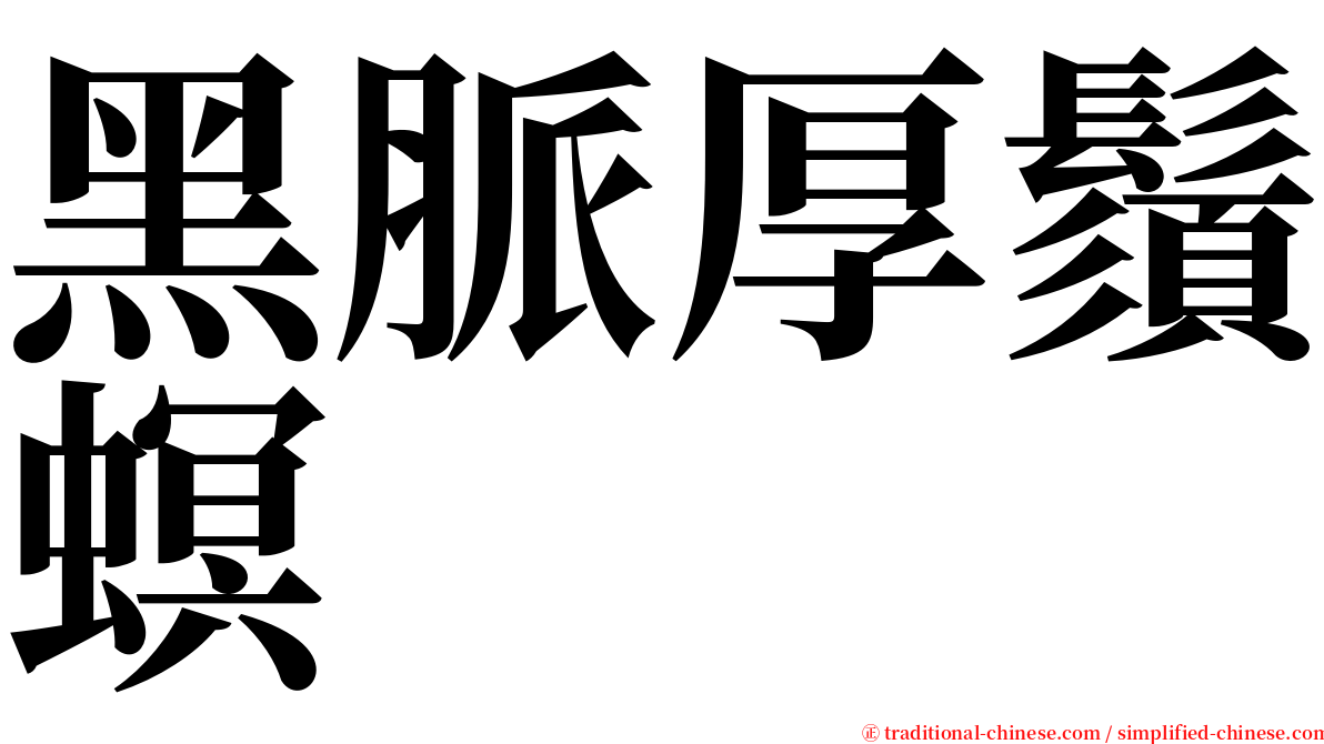 黑脈厚鬚螟 serif font
