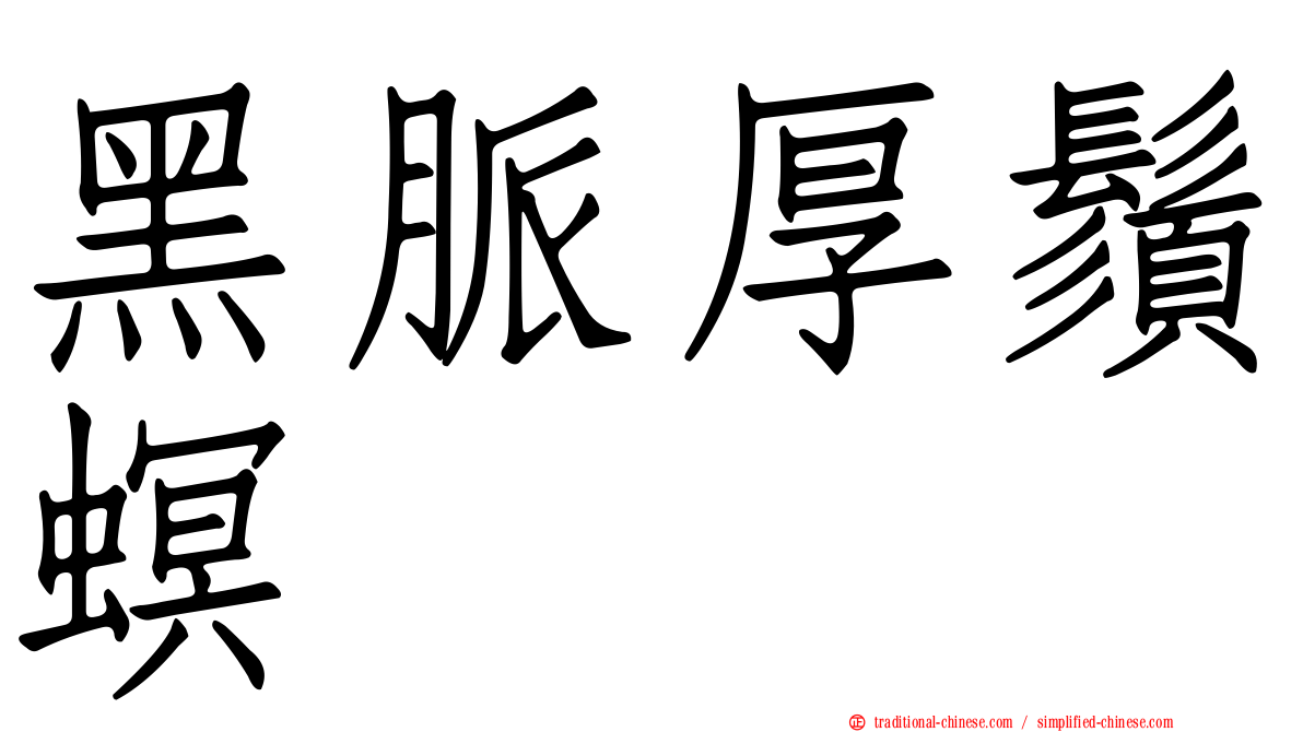 黑脈厚鬚螟