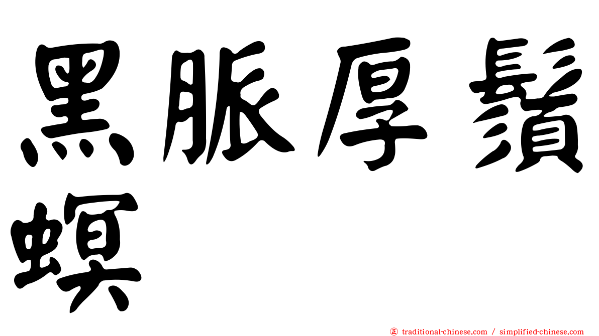 黑脈厚鬚螟