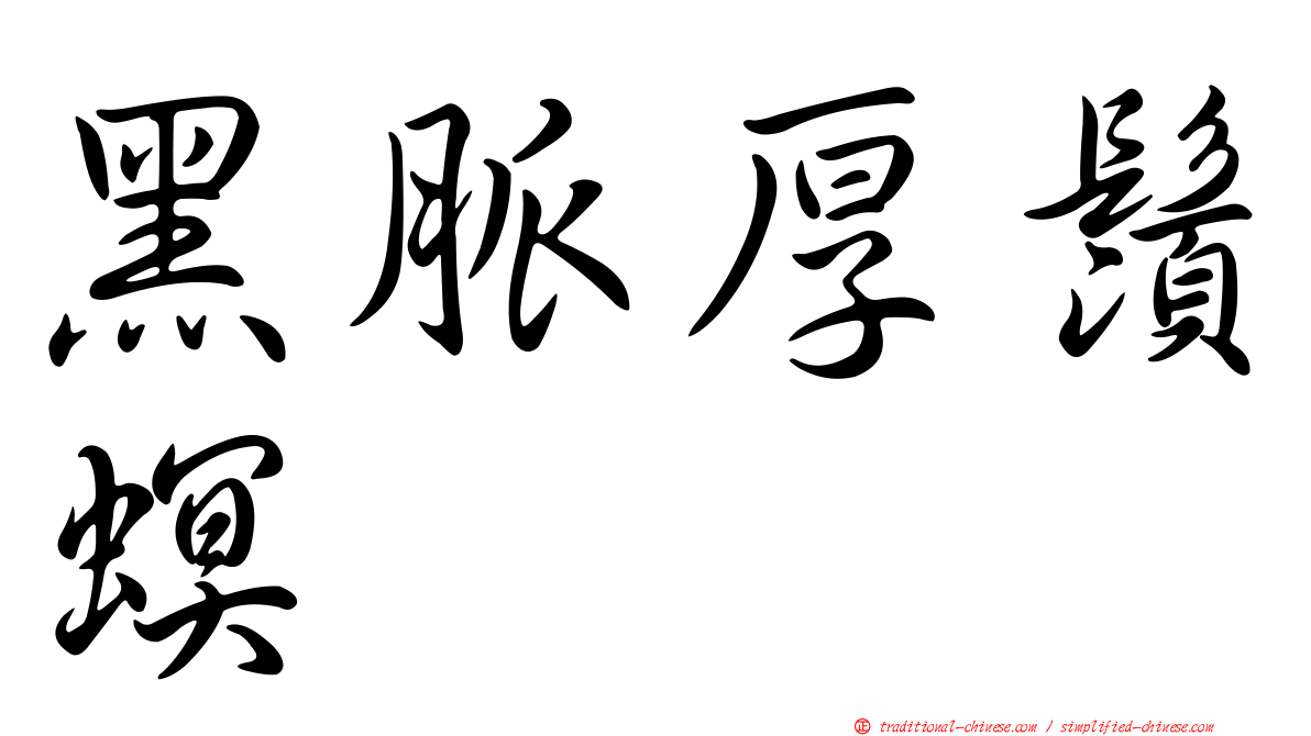 黑脈厚鬚螟