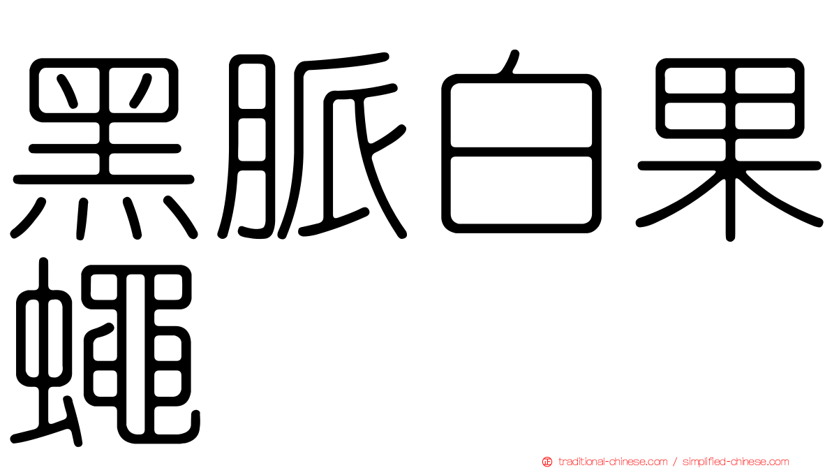 黑脈白果蠅
