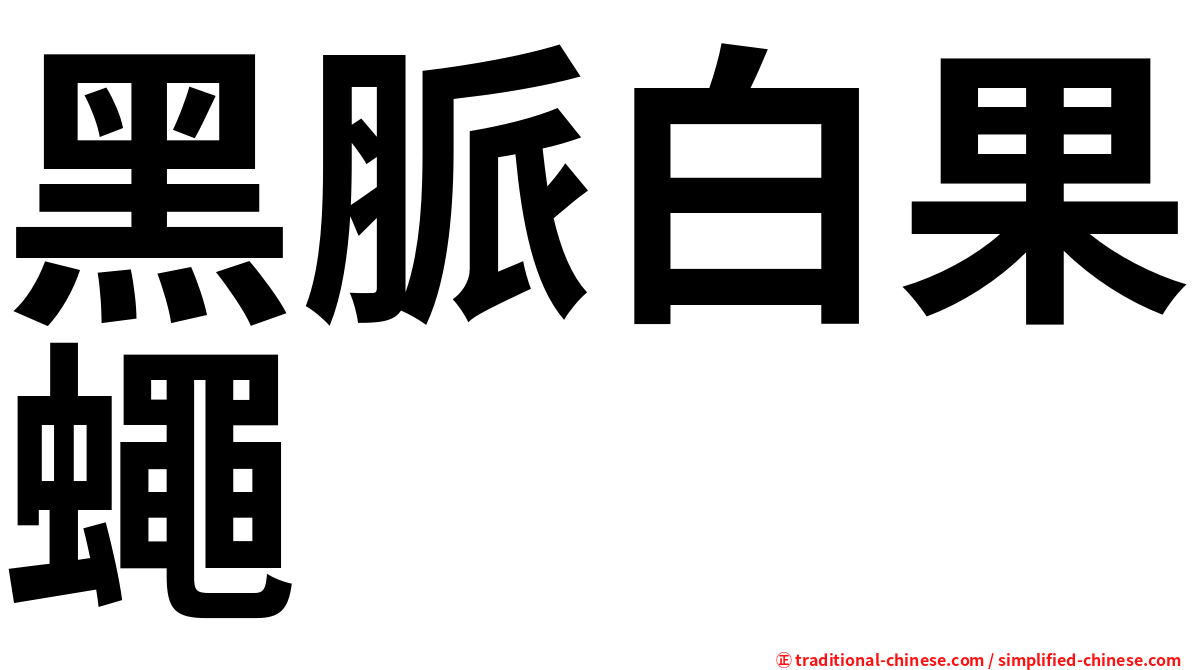黑脈白果蠅