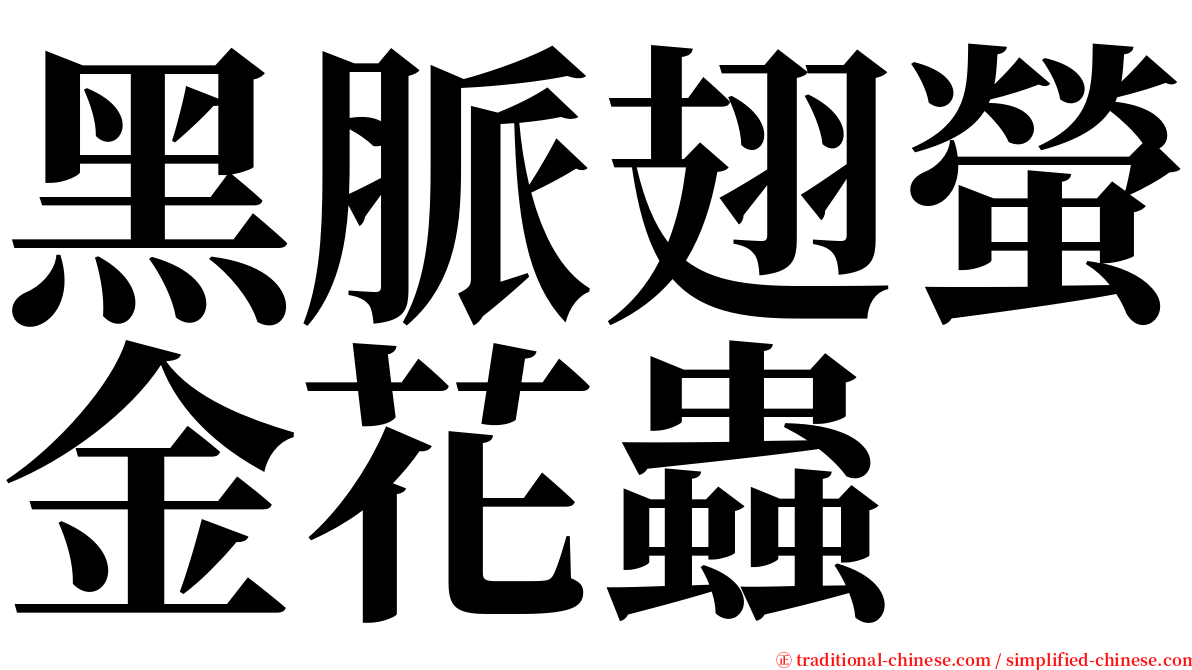 黑脈翅螢金花蟲 serif font