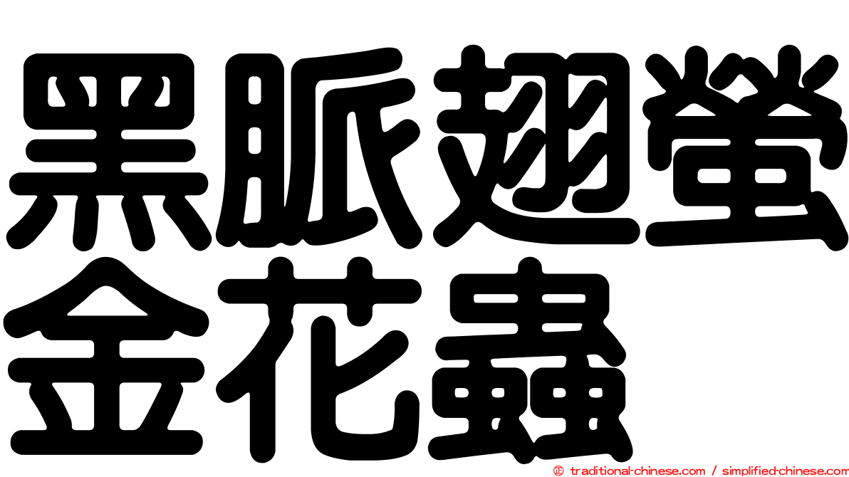 黑脈翅螢金花蟲