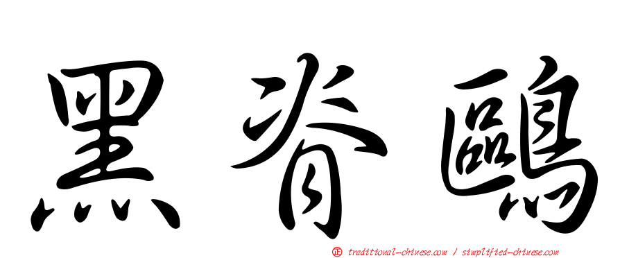 黑脊鷗