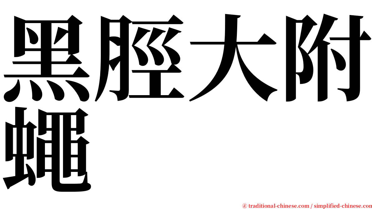 黑脛大附蠅 serif font