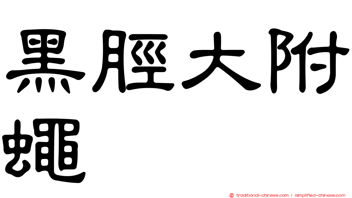 黑脛大附蠅