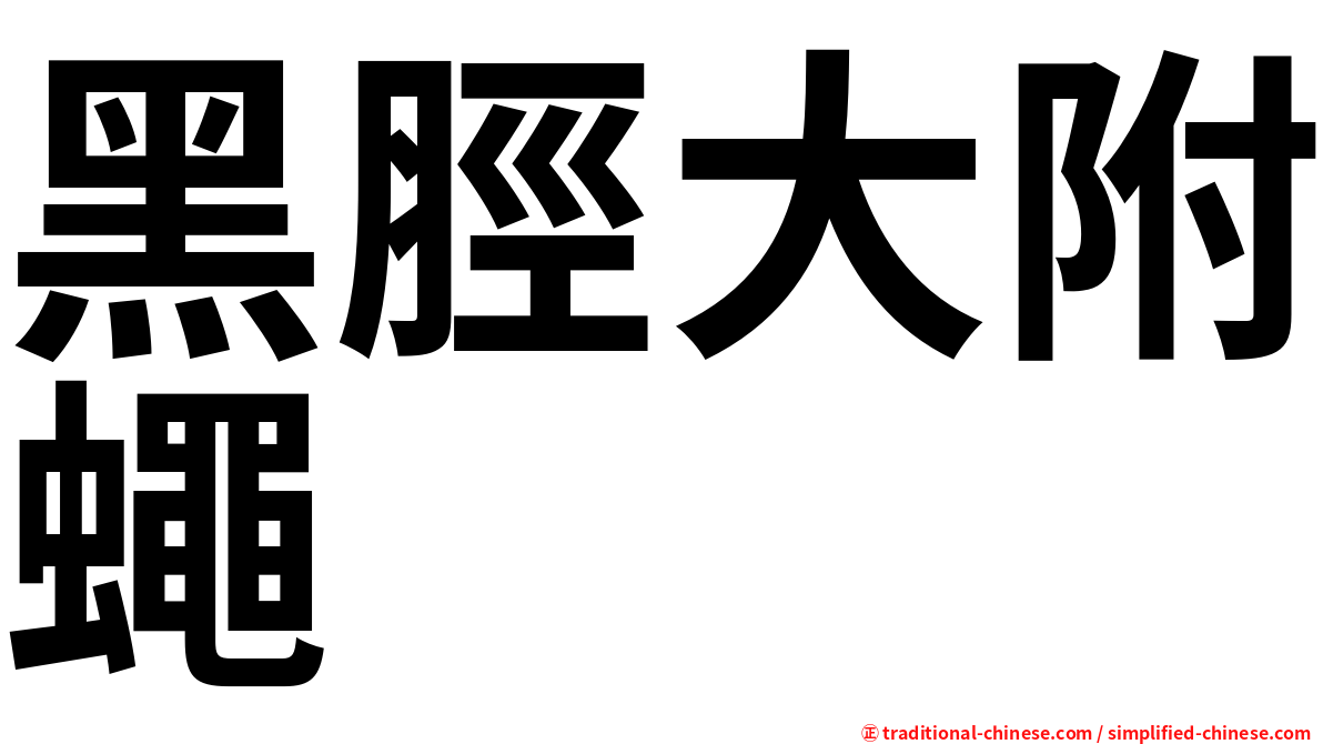 黑脛大附蠅