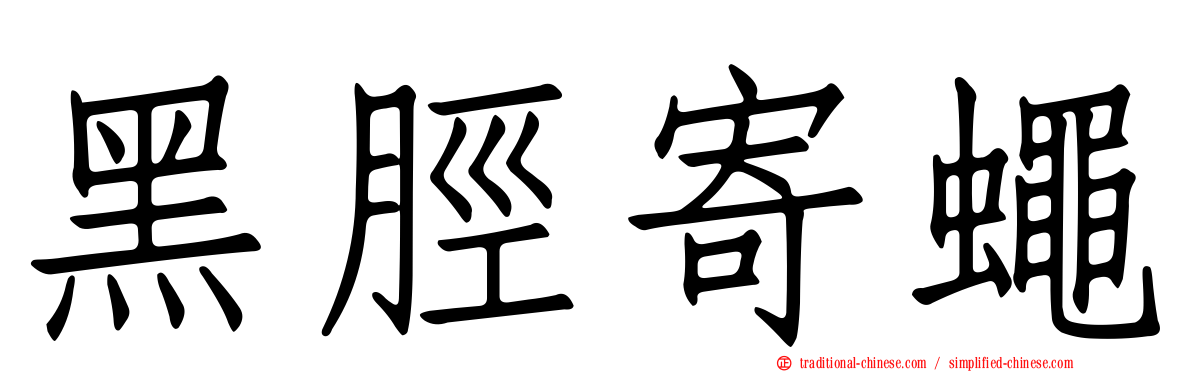 黑脛寄蠅