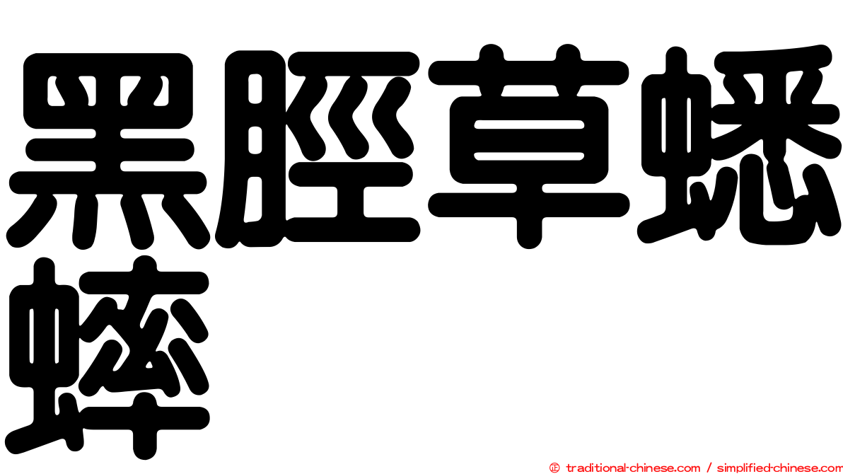 黑脛草蟋蟀