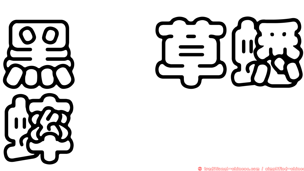 黑脛草蟋蟀