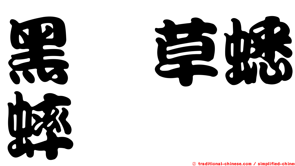 黑脛草蟋蟀