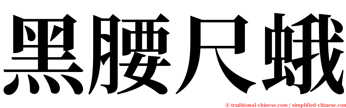 黑腰尺蛾 serif font