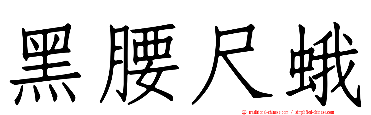 黑腰尺蛾