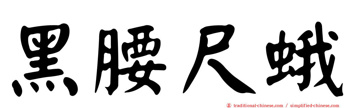 黑腰尺蛾
