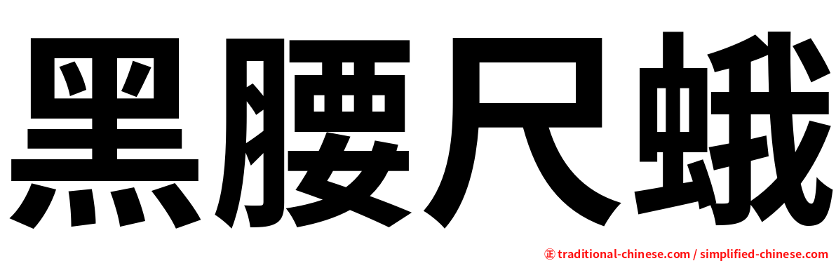 黑腰尺蛾