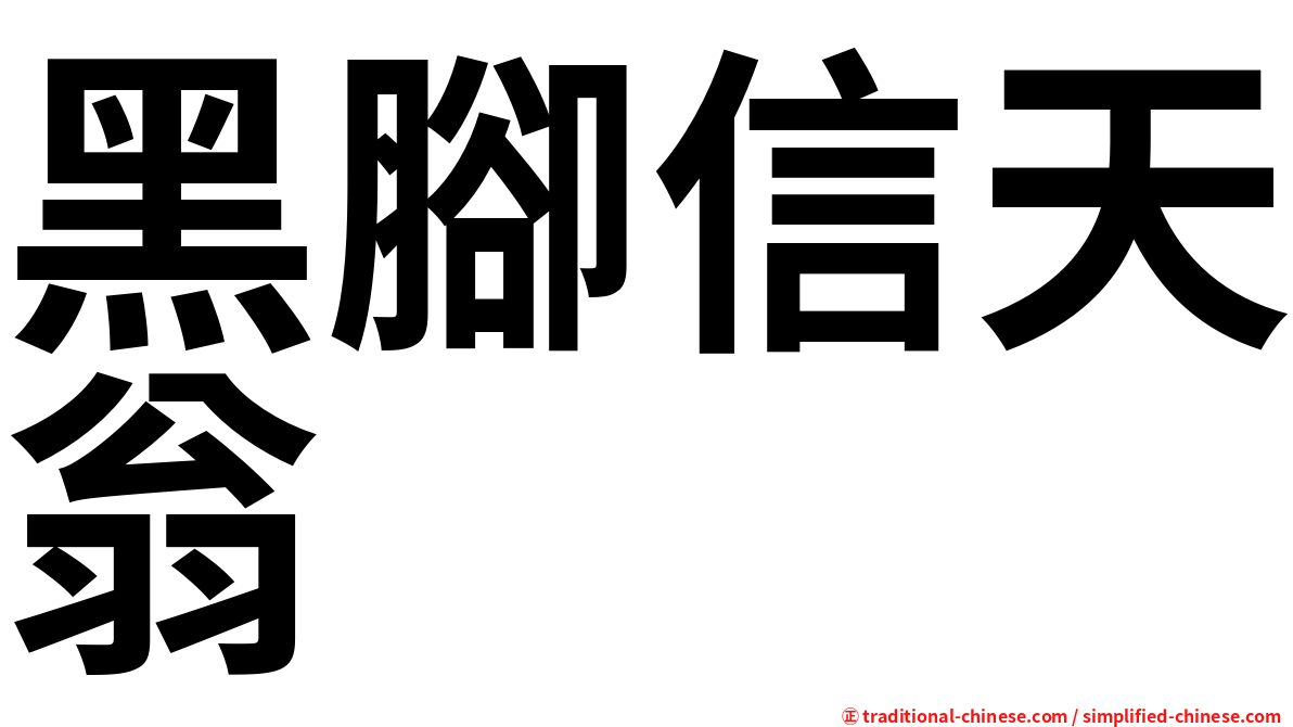 黑腳信天翁