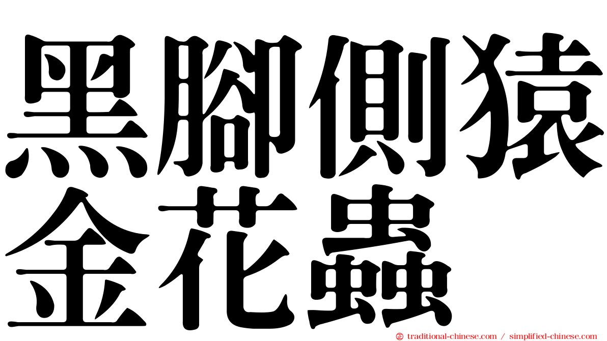 黑腳側猿金花蟲