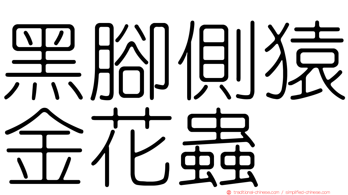 黑腳側猿金花蟲