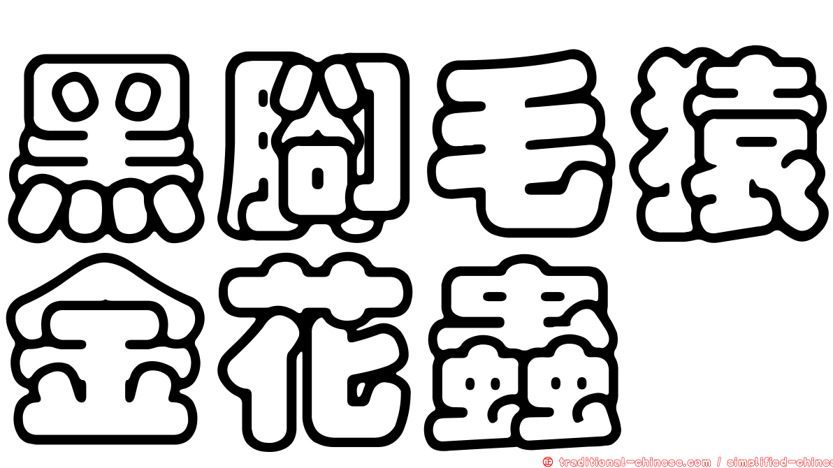 黑腳毛猿金花蟲