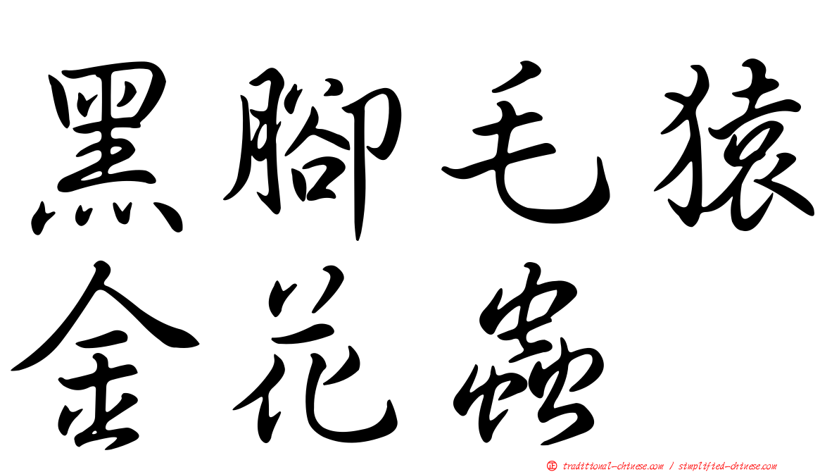 黑腳毛猿金花蟲