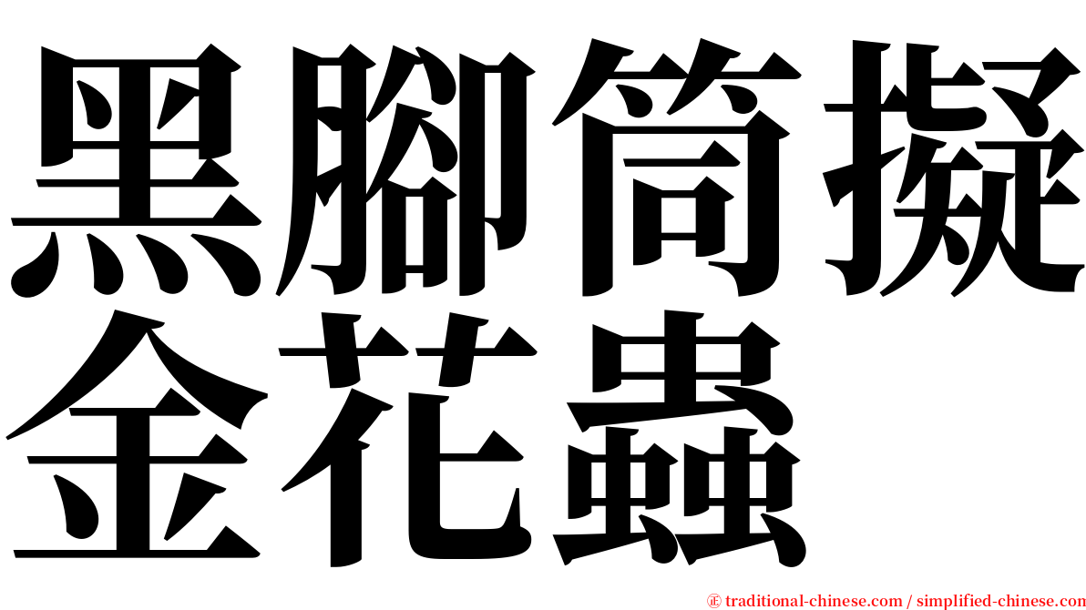黑腳筒擬金花蟲 serif font