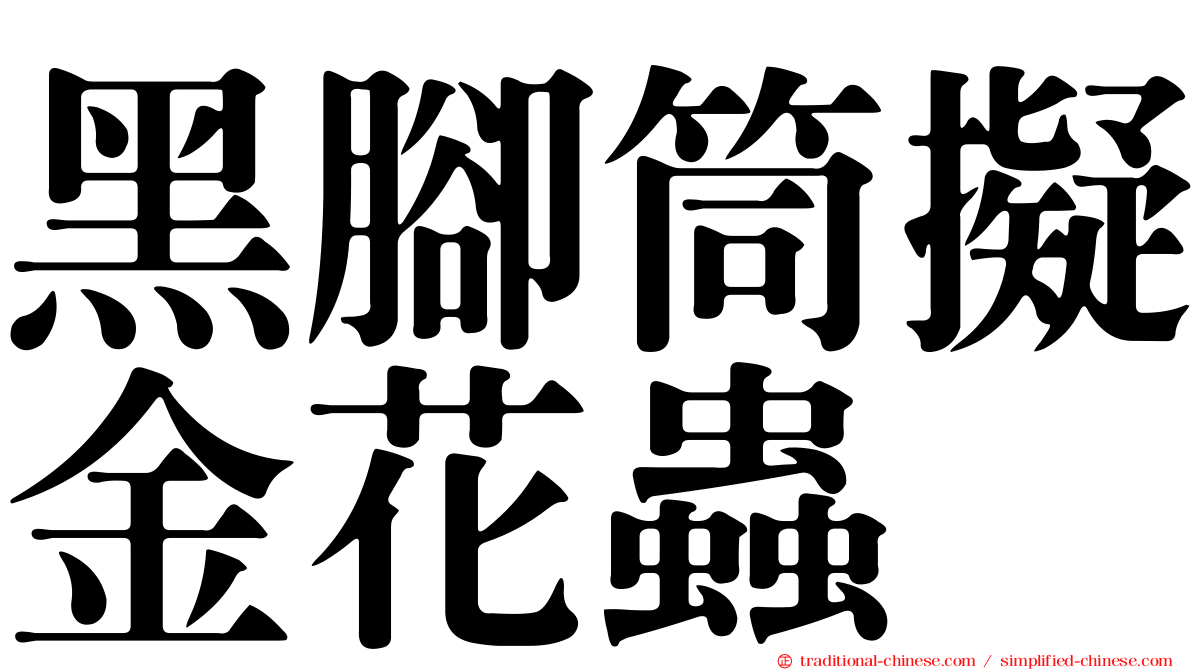 黑腳筒擬金花蟲