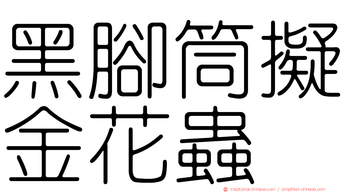 黑腳筒擬金花蟲