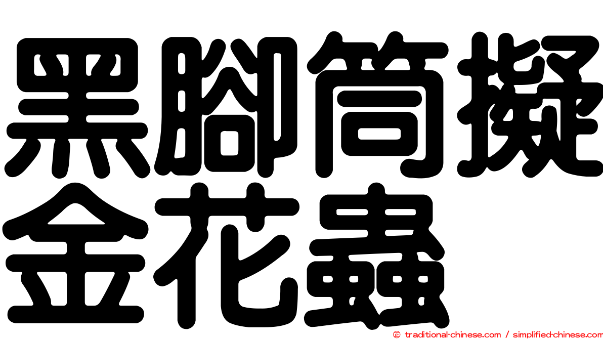 黑腳筒擬金花蟲