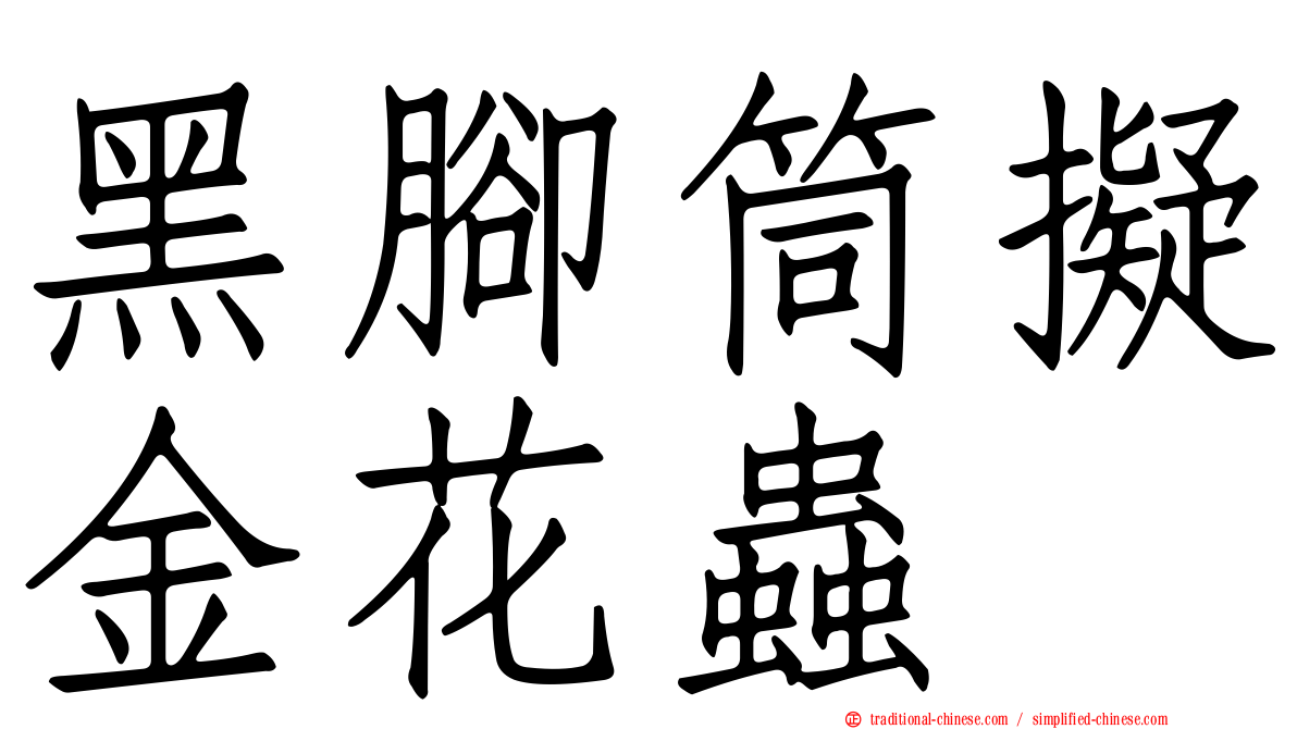 黑腳筒擬金花蟲