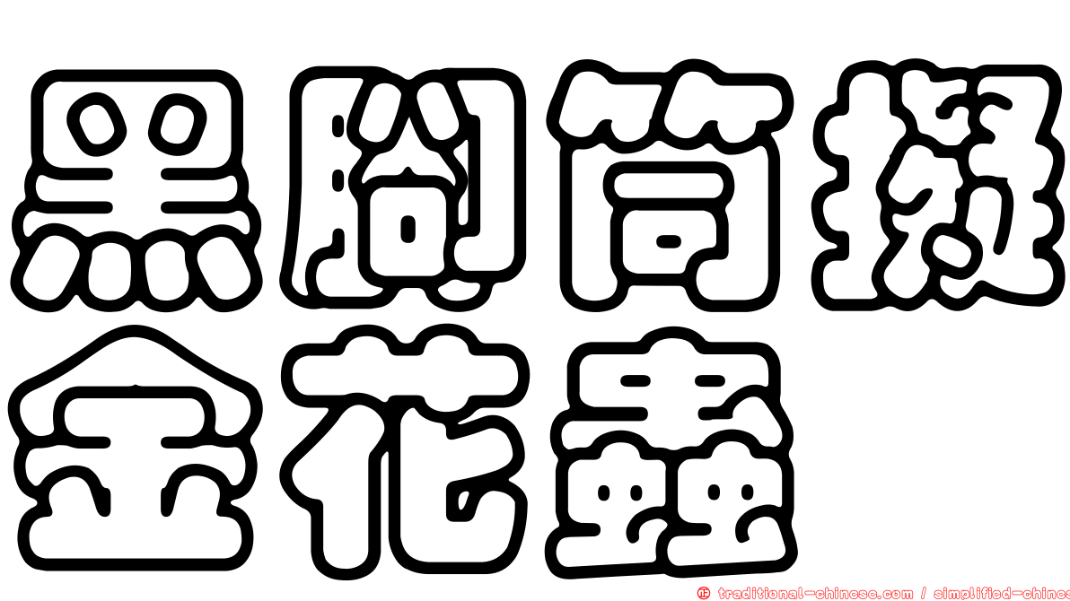 黑腳筒擬金花蟲