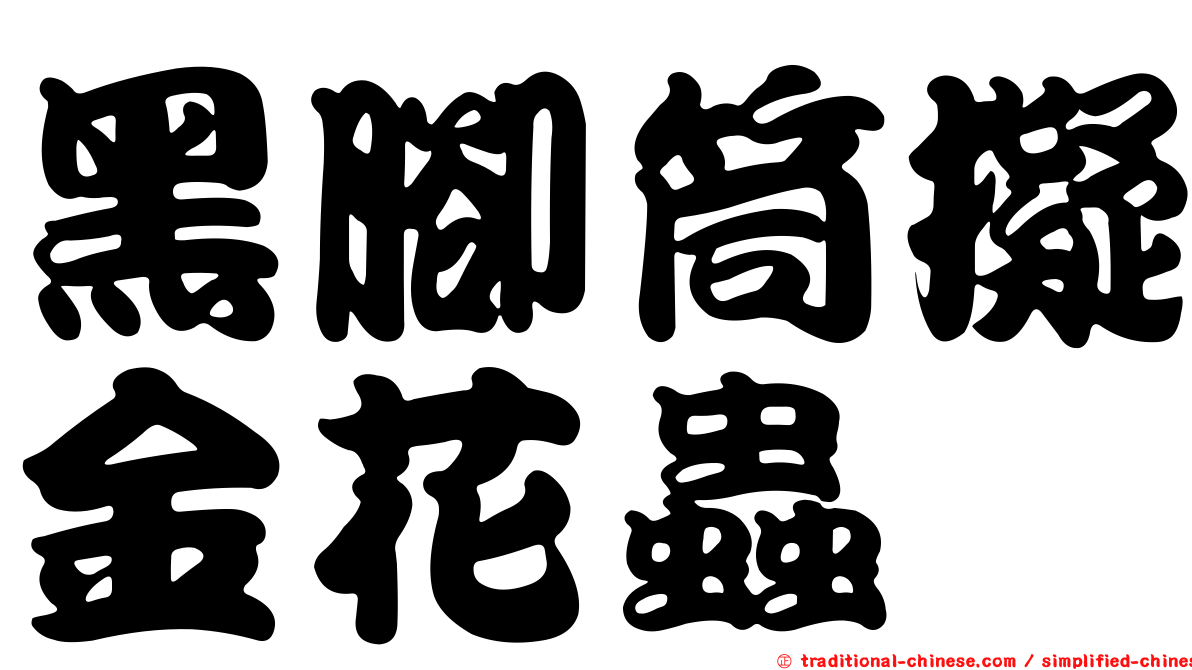 黑腳筒擬金花蟲