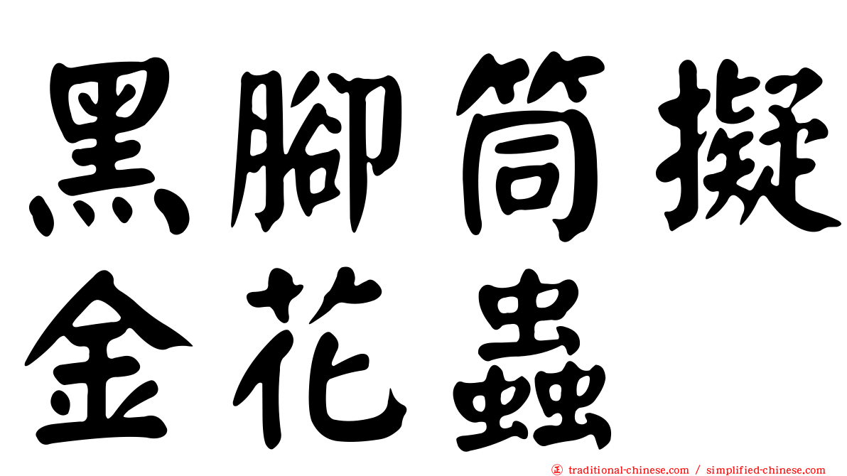 黑腳筒擬金花蟲