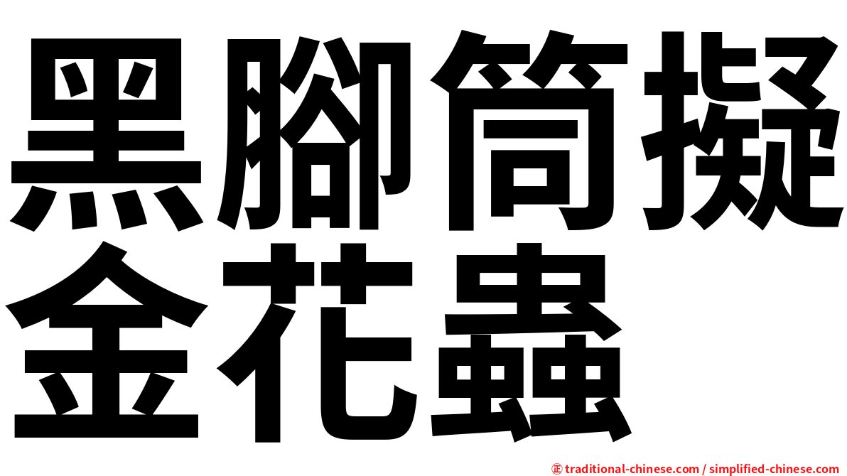 黑腳筒擬金花蟲