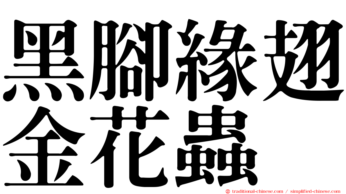 黑腳緣翅金花蟲