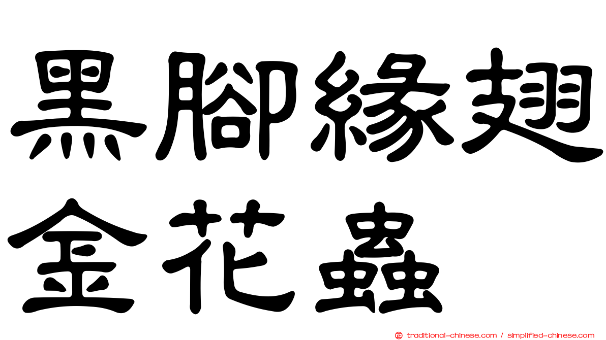 黑腳緣翅金花蟲