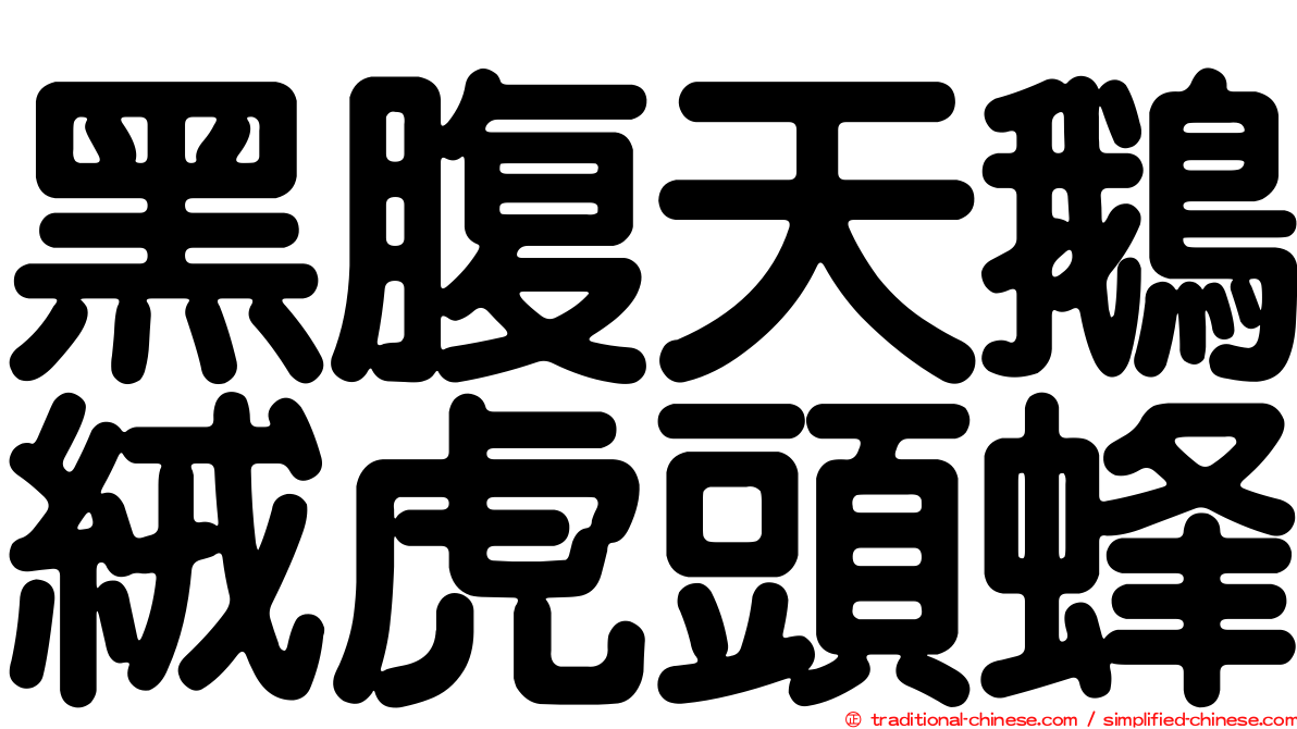 黑腹天鵝絨虎頭蜂