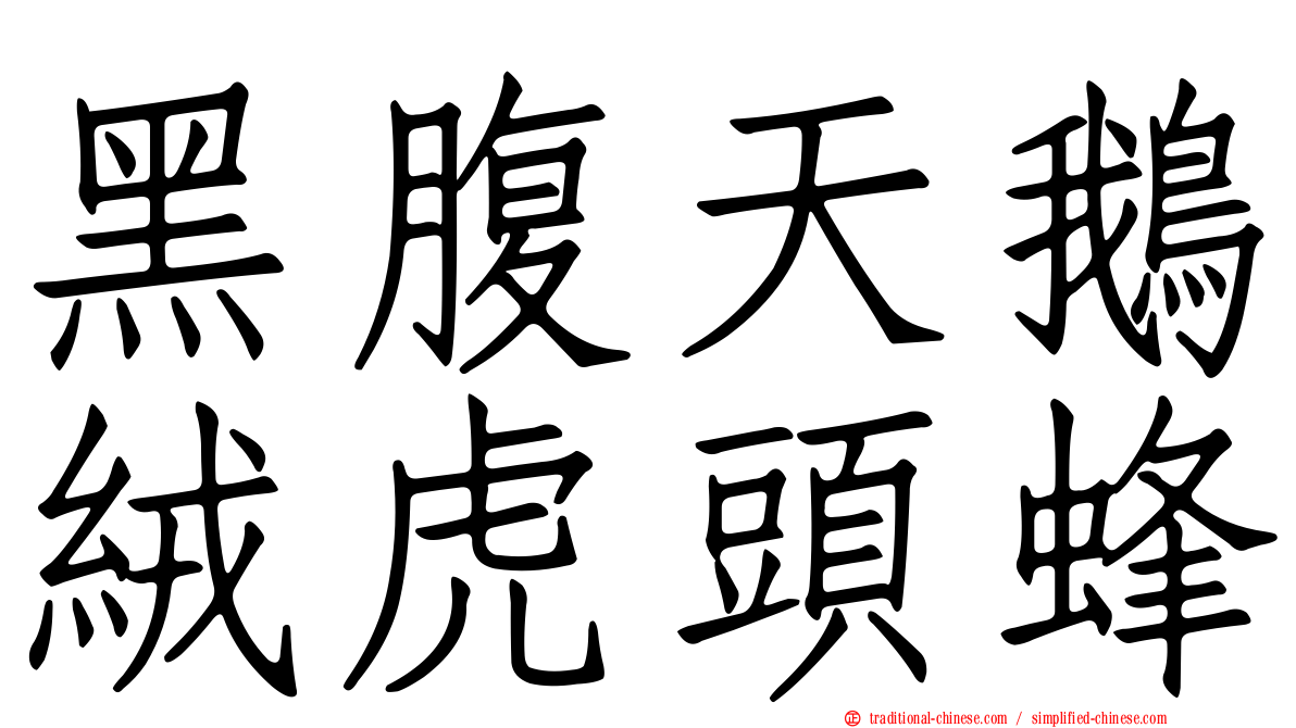 黑腹天鵝絨虎頭蜂