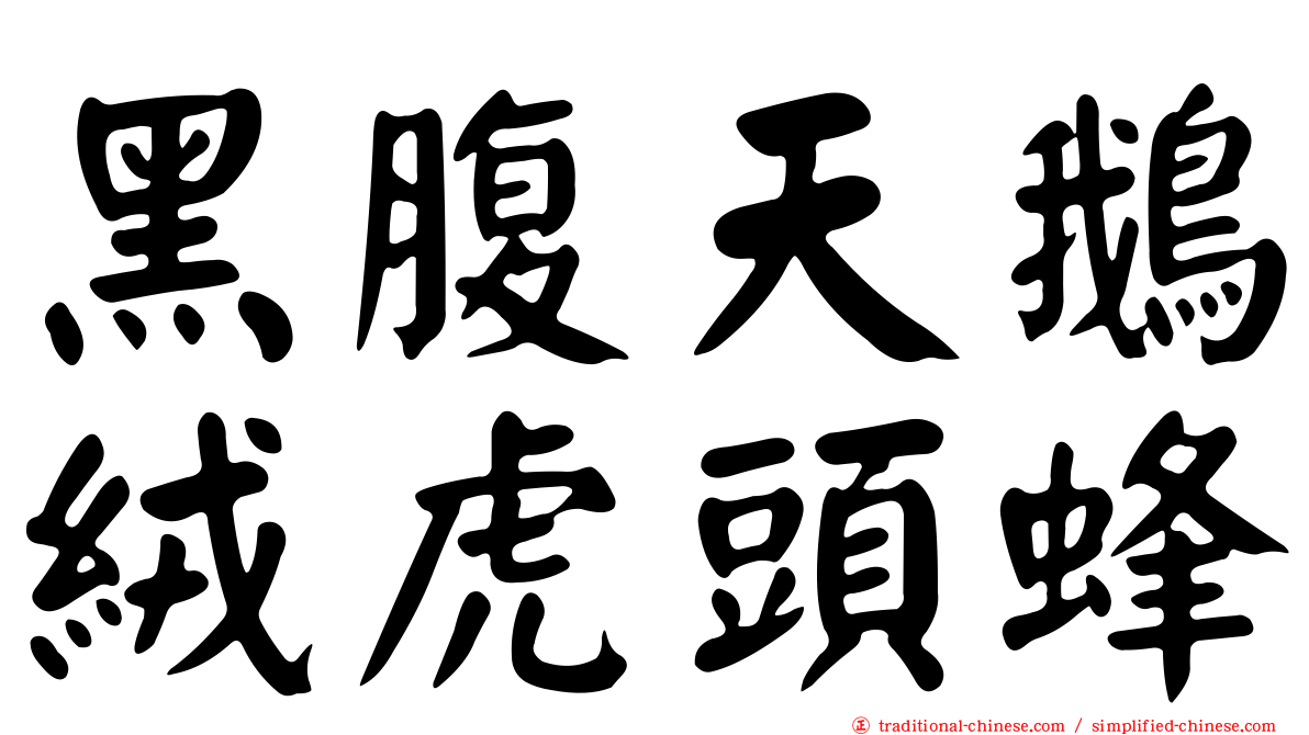 黑腹天鵝絨虎頭蜂