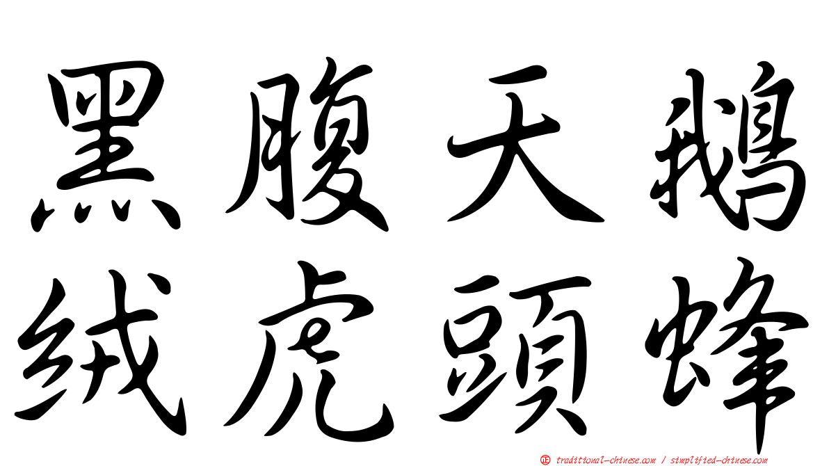 黑腹天鵝絨虎頭蜂