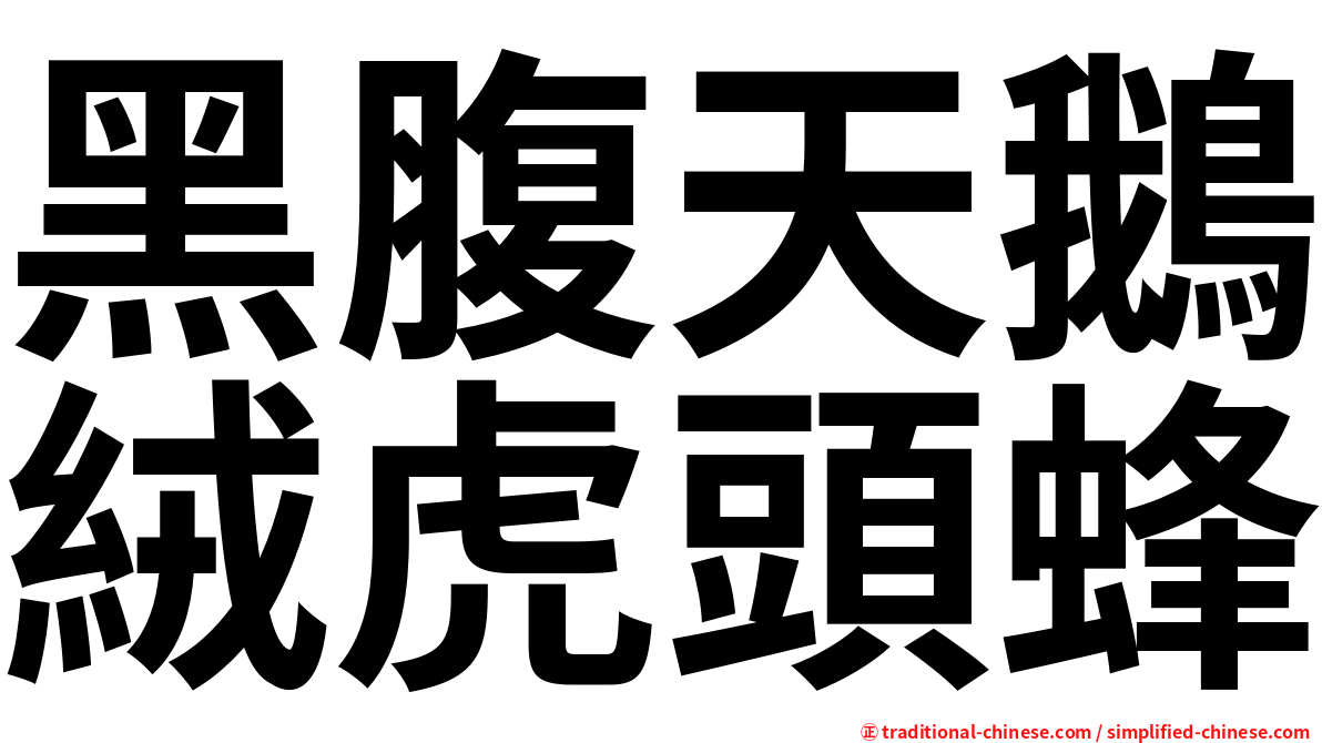 黑腹天鵝絨虎頭蜂